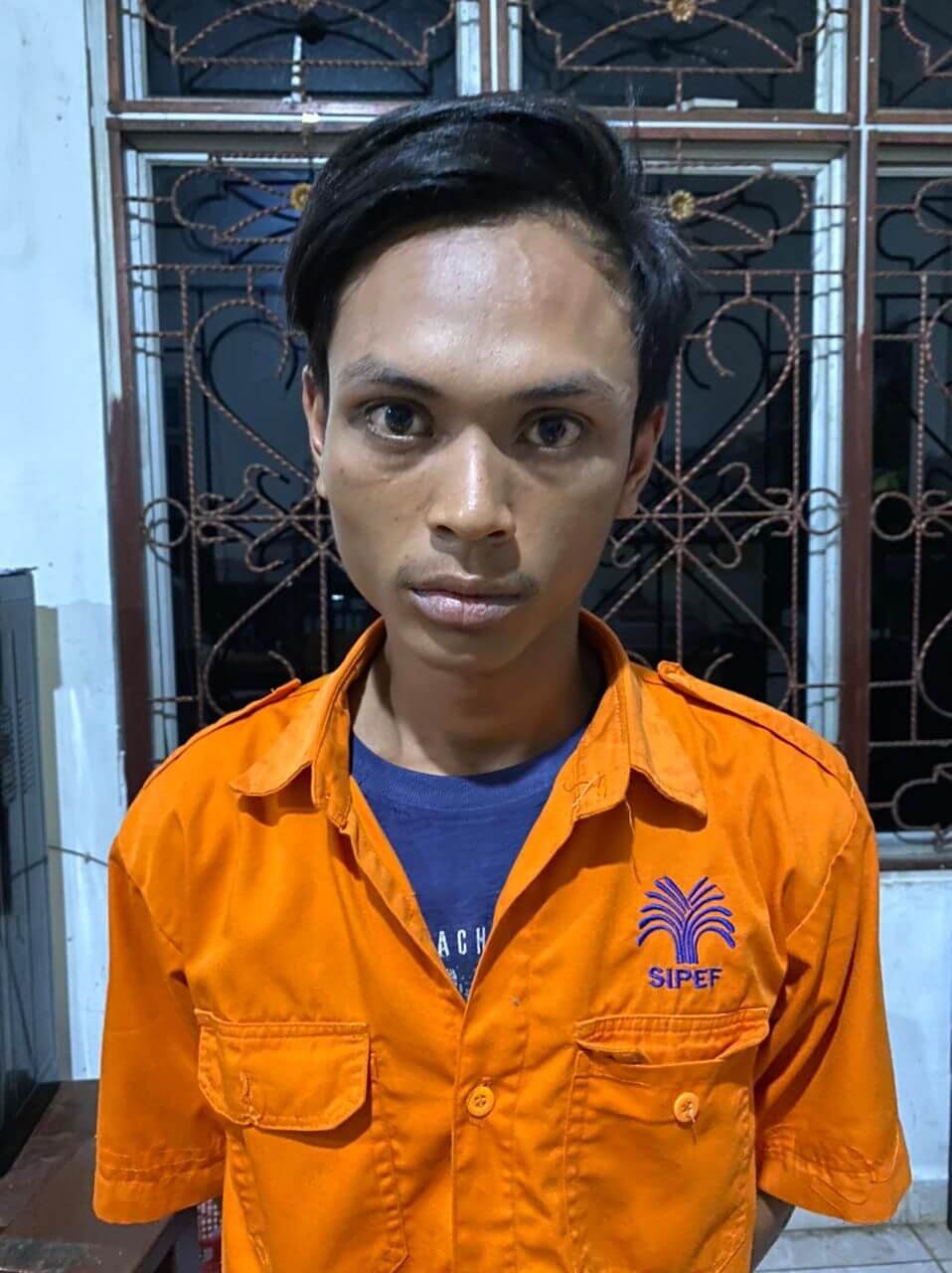 Sat Narkoba Polres Simalungun Amankan Pemilik Sabu Dari Gunung Malela