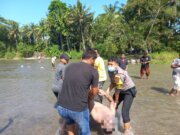 Hanyut di Sungai Buaya, Adrian Saragih Ditemukan Tewas