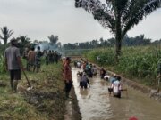 Lestarikan Budaya Marharoan Bolon : Masyarakat Nagori Silaumalaha Gotong royong Perbaiki Saluan irigasi