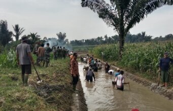 Lestarikan Budaya Marharoan Bolon : Masyarakat Nagori Silaumalaha Gotong royong Perbaiki Saluan irigasi