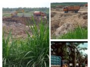 Disinyalir Galian C Illegal Merajalela Di Sumut, Terkesan tak Tersentuh Hukum Akibat Diduga APH Pada Ongkang Kaki