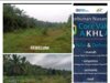 Berdalih Rotasi, Dan Setelah di Beritakan Areal Semak Belukar TM dan TBM, HGU milik Bumn PTPN IV KG.Monako, Kini Baru terlihat Di Urus