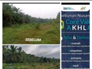 Berdalih Rotasi, Dan Setelah di Beritakan Areal Semak Belukar TM dan TBM, HGU milik Bumn PTPN IV KG.Monako, Kini Baru terlihat Di Urus