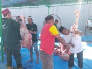 Lapas Narkotika Kelas IIA Pematangsiantar Sembelih 8 Hewan Kurban