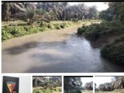 Ketua DPP LSM GEMPUR : Pihak PTP Nusantara, Kebun Gunung Monako Penyumbang Kerusakan Besar Pada Lingkungan Daerah Aliran Sungai -DAS Sungai Bahsombu