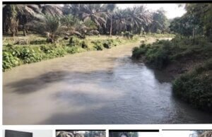 Ketua DPP LSM GEMPUR : Pihak PTP Nusantara, Kebun Gunung Monako Penyumbang Kerusakan Besar Pada Lingkungan Daerah Aliran Sungai -DAS Sungai Bahsombu