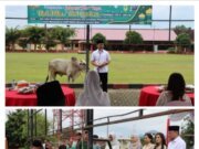 Idul Adha 1445 H, jajaran Polresta Deli Serdang sembelih 26 Hewan Qurban