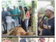 Rayakan Idul Adha 1445 H, Warga Dusun Sadar Timur Sembelih 19 Ekor Hewan Qurban