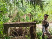 Nyaris Belasan Tahun Terbengkalai, Jembatan Penghubung Dua Desa di Serdang Bedagai Terkesan tidak Di Perdulikan