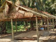 Desa Pon Kecamatan Sei Bamban Darurat Narkoba, Warga : Bapak Kapolres Sergai, Tolong Lindungi Kami