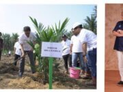 Konsisten Meningkatkan Perekonomian Masyarakat, PTPN IV Regional I Realisasikan 744,93 Ha Lahan Peremajaan Sawit Rakyat Sampai Dengan Juli 2024