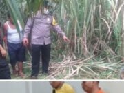 Kades Sarang Giting Kahan Tewas Di Sambar Petir