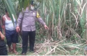 Kades Sarang Giting Kahan Tewas Di Sambar Petir