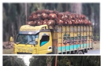 Unit Kebun Tak Sediakan Tera Timbang, Disinyalir Jadi Sarang Para Mafia, Diduga Gelapkan Belasan ton TBS Setiap harinya hingga rugikan Perusahaan dan Rekanan Angkutan