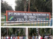 Asisten Afd Seakan Membuat Kebijakan Sendiri Di Luar SOP IK dan PK Perusahaan Bumn PTP.Nusantara , Dengan Adakan Kutipan Di Duga Liar