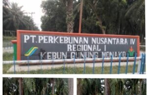 Asisten Afd Seakan Membuat Kebijakan Sendiri Di Luar SOP IK dan PK Perusahaan Bumn PTP.Nusantara , Dengan Adakan Kutipan Di Duga Liar