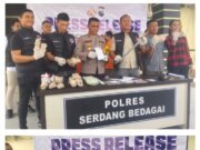Dorrrr!! 1 Orang Dari 3 Pelaku Narkotika Ditembak Kakinya Oleh Personil Satnarkoba Polres Serdang Bedagai
