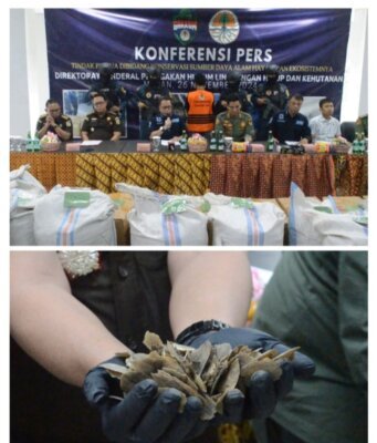 Tim Gabungan Gakkum KLHK Berhasil Gagalkan 1,2 Ton Sisik Trenggiling Dari Kabupaten Asahan