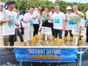 Menteri Lingkungan Hidup Bersama AMPHIBI dan PT.Freeport Indonesia Aksi Tanam Mangrove