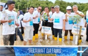 Menteri Lingkungan Hidup Bersama AMPHIBI dan PT.Freeport Indonesia Aksi Tanam Mangrove