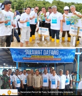 Menteri Lingkungan Hidup Bersama AMPHIBI dan PT.Freeport Indonesia Aksi Tanam Mangrove