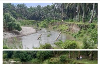 Lapor Pak Presiden : Di Kebun Gunung monako PTPN.IV Terkesan Pejabatnya tak Tersentuh Hukum, Nekad Terlantarkan Hektaran Lahan HGU dan Malah Merusak DAS