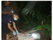 Dua Hari Menghilang, Siswi Pelajar SMP DI Duga Korban Pembunuhan Ditemukan Tewas Dalam Karung