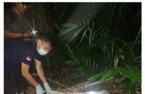 Dua Hari Menghilang, Siswi Pelajar SMP DI Duga Korban Pembunuhan Ditemukan Tewas Dalam Karung