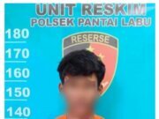 Diduga Mabuk Tuak, Seorang Pria di Pantai Labu Bacok Dua Nelayan