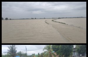 Intensitas Hujan Tinggi, Puluhan Hektar Persawahan Masyarakat Kebanjiran di Tanjung Beringin Hingga Bandar Kalifah