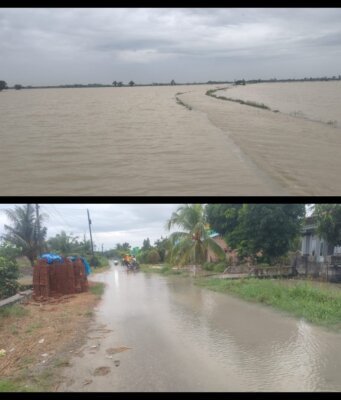 Intensitas Hujan Tinggi, Puluhan Hektar Persawahan Masyarakat Kebanjiran di Tanjung Beringin Hingga Bandar Kalifah