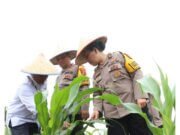 Itwasum Polri Gelar Monitoring dan Evaluasi Ketahanan Pangan dan Senjata Api di Polres Serdang Bedagai