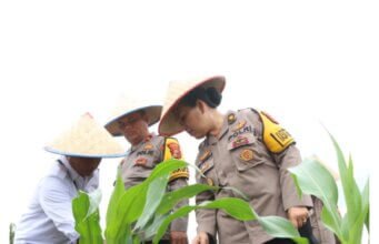 Itwasum Polri Gelar Monitoring dan Evaluasi Ketahanan Pangan dan Senjata Api di Polres Serdang Bedagai