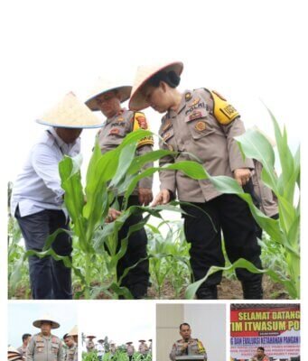 Itwasum Polri Gelar Monitoring dan Evaluasi Ketahanan Pangan dan Senjata Api di Polres Serdang Bedagai