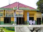 Dugaan Korupsi Dana Desa Gunung Manako Menguak , Indikasi Penyelewengan Ratusan Juta