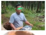 Beredar Vidio Dugaan Pelaku Pencurian TBS Disinyalir milik PT.PP Lonsum Bah Bulian , Wartawan malah di ancam Pelaku, Manajemen Disinyalir Seakan Lakukan Pembiyaran?